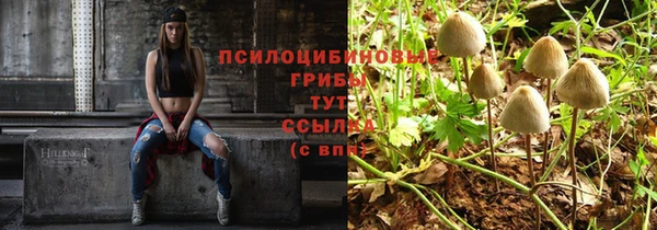 трава Козельск
