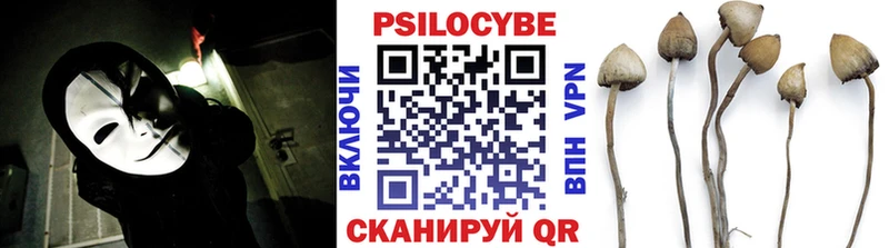 Купить закладки  Полесск  Псилоцибиновые грибы MAGIC MUSHROOMS 